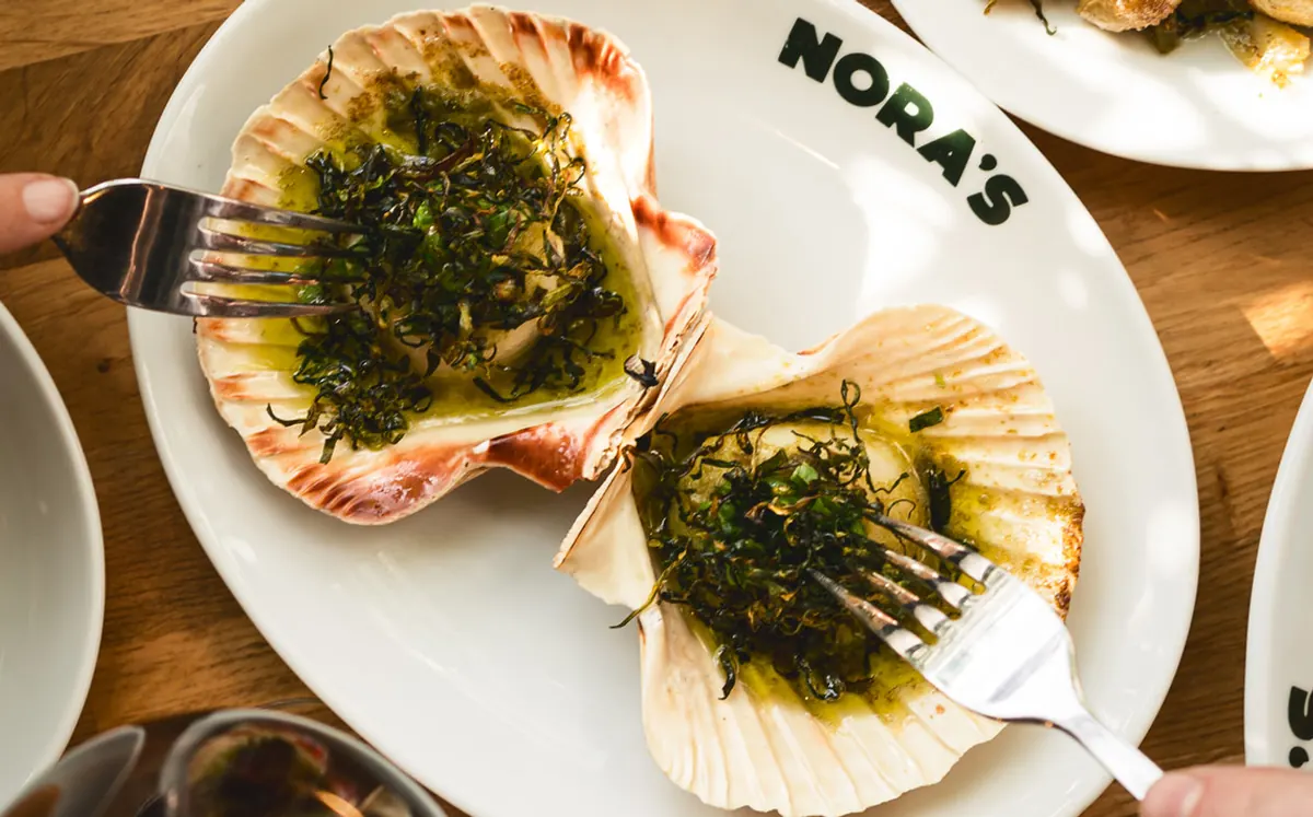 Scallops in the shell with herb butter